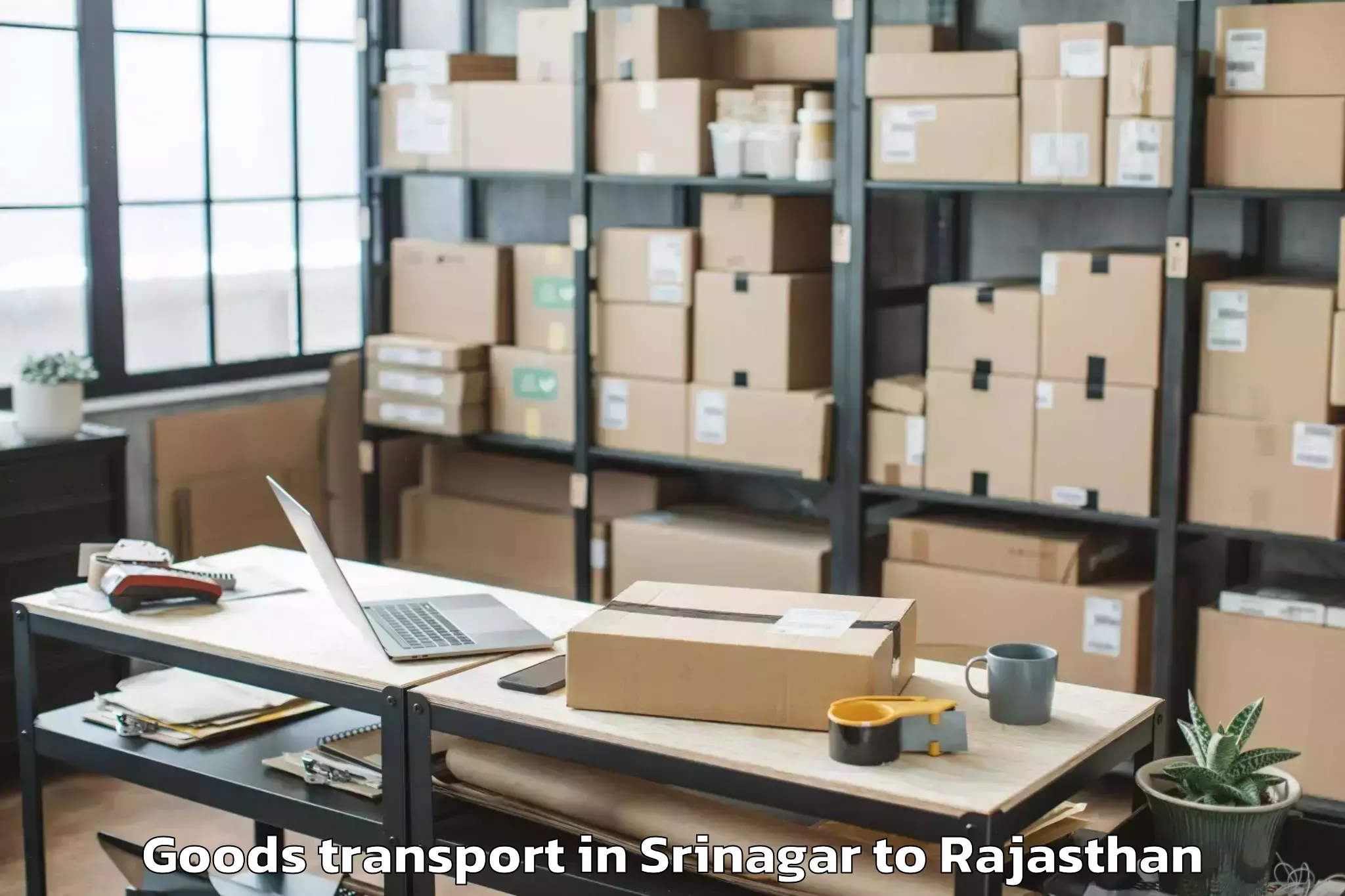 Discover Srinagar to Indergarh Goods Transport